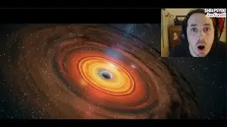 The Scale of The Universe || Live Reaction