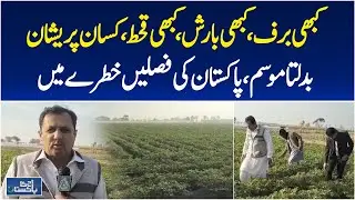 Climate Change Impact | Pakistan Agriculture Crisis | Farmers Concern | Aaj Pakistan News