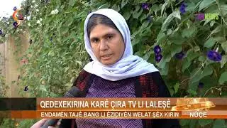 QEDEXEKIRINA KARÊ ÇIRA TV LI LALEŞÊ