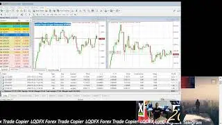 KouLeeFX LQDFX Free Trade Copier for LQDFX Affiliates #LQDFX