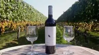 Visiting Wolffer Estate Vineyard, Sagaponack