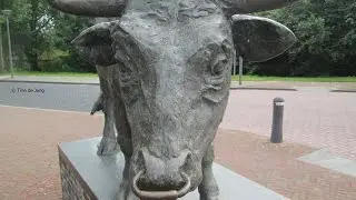 Hoornaar : Mooie gezichten uit dit dorp door Tine de Jong