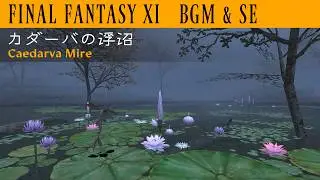 FF11 - カダーバの浮沼 Caedarva Mire BGM&SE