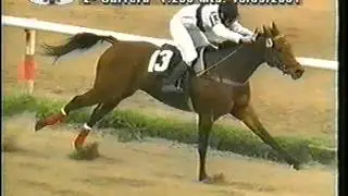 15/09/2001 Hipodromo de las Piedras Premio Hulapo