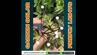 Garden Lighting Showdown Solar Firefly Lights vs LED Candles