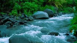 &ldquo;ULTIMATE RIVER ASMR: 4K Alaska Creek White Noise for Focus, Meditation & ALL-NIGHT Sleep