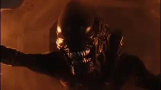 Alien earth: xenomorph chase scene
