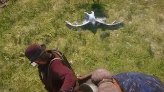 Hawk hunting. Red Dead Redemption 2