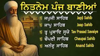 Nitnem Panj Bania  ਨਿਤਨੇਮ ਪੰਜ ਬਾਣੀਆ | Nitnem Sahib Full Path | japji sahib | Vol-10058 #nitnem