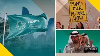 COP29 Faces Human Rights Backlash After UAE's COP28
