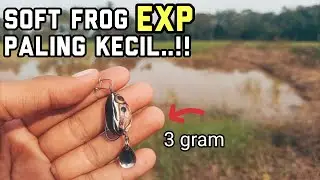 soft frog  paling kecil buat haruan marah ! | casting haruan | Exp Kodok Frog 25mm 3 gram  {#vlog82}