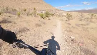 Mountain Biking 