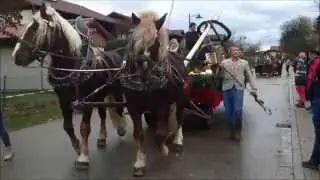 Kirchweidacher Leonhardiritt 2013