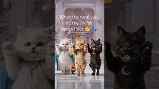 Princess Cats Dancing PT2 💃 Meowgical Moves Return #PrincessCats #CatDance #ViralShorts #FantasyPets