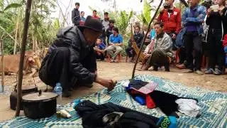 Kev cai ua nyuj dab ntawm pab Hmoob lis nyob rau sab Luang Prabang 2017