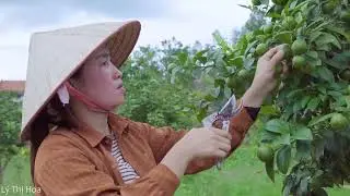 Terrifying! Giant 1000kg Python Attacks Village &ndash; Brave Women&rsquo;s Shocking Jungle Rescue