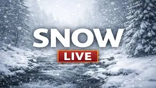Live ASMR Snow Walk | River Sounds & Winter Ambience for Sleep and Relax
