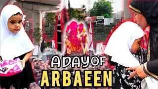 Arbaeen Walk 2024 Lahore | Arbaeen , The Journey of Passion | Chelum Imam Hussain as