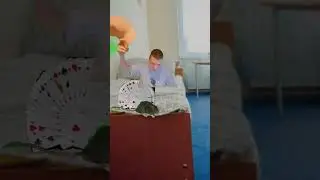 больше не буду с мышами играть а тем более на деньги