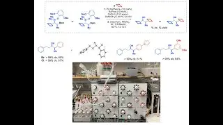 Evading Beta-Oxygen Elimination in Suzuki-Miyaura Cross Couplings with Antonio LaPorte