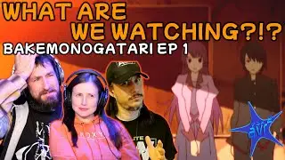 Bakemonogatari Episode 1 Reaction: WHAT HAVE WE GOTTEN INTO?!? | AVR2