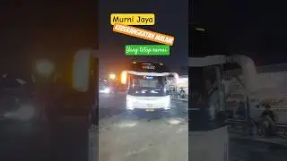 Murni Jaya keberangkatan Malam ‼️ #bus #murnijaya #busmania #automobile #videoshort