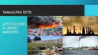 TAMAULIPAS B2T8: Afectaciones al medio ambiente