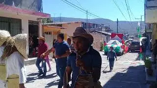 PENDON DE LA VIRGEN DE GUADALUPE 2017 *PETAQUILLAS GRO* 2