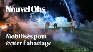 Dermatose : en Ari&egrave;ge, des heurts entre les forces de l'ordre et des manifestants oppos&eacute;s &agrave; l'abatta