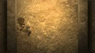 SOT Mead Intro