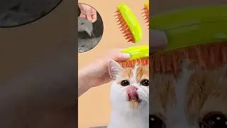 Our Electric Spray Brush Massage makes brushing easy and enjoyable🐾✨ Shop now at Flopastore.com 🛒🐶🐱
