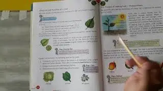 Class 4th Science Chapter 1st Green plants the food producers Lecture 1st