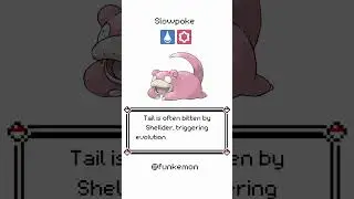Slowpoke Funny Pokemon story