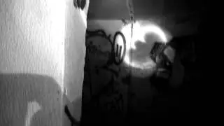 WALKING DEAD NONAME SPORT