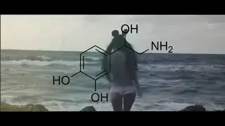 Kocur - Dopamine