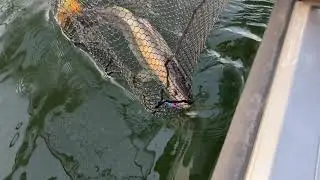 Winter Walleye tournament 2020