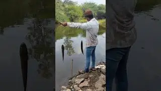 🎣 12 सेकंड में बड़ा कमाल🎯 Perfect Hook Shot#SAAD #FISHER#shortvideo#