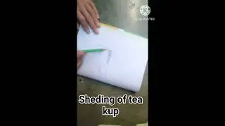sheding of a tea kup #music #rap #drawing #sheding #viral