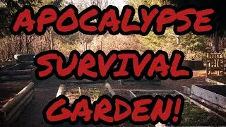 Survival Garden For The Apocalypse! What To Grow?