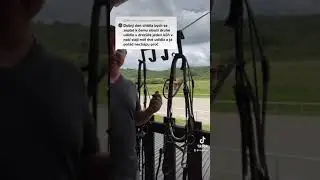 Uzdečka vs. Uzda