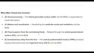 10 Medial Geniculate Nucleus MGN of the Thalamus USMLE TYPE QUESTION
