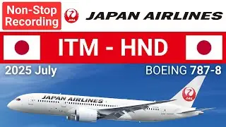 JAL ITM  HND Entire Flight Review, Japan Airlines Osaka Itami Tokyo Haneda Airport