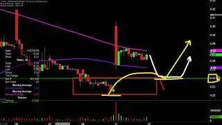 TransEnterix Inc - TRXC Stock Chart Technical Analysis for 11-11-19