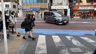 日本ー東京散歩 ｜茗荷谷駅から住宅街を通り護国寺まで