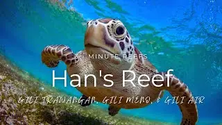 3-Minute Reefs: Han's Reef (Gili Islands) #3minutereefs #giliislands #scubadiving