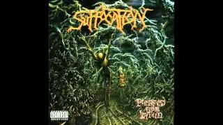 Suffocation - Breeding the Spawn (HQ)