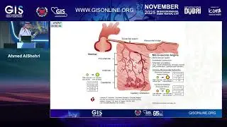 15 Microvascular Assessment in Daily Cath Lab Practice  What Is Feasible  Ahmed AlShehri