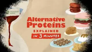 Alternative Proteins | Explained in 3 Minutes