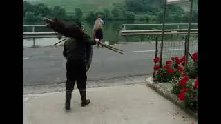 Fischfang auf der Mosel. Teil 1: Stellnetz, Wurfgeil, Koppelnetz