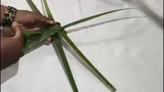 Coconut leaf craft